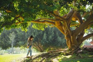 The Weekly Dose of Nature That Will Strengthen Mental Health
