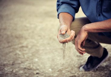 Circling the Storm Drain - The Origins of a Narcissist