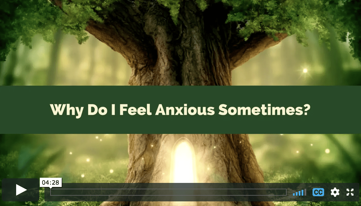 Why Do I Feel Anxious Sometimes? A Video for Kids (Or Their Flight