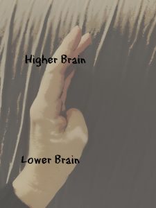 handbrain