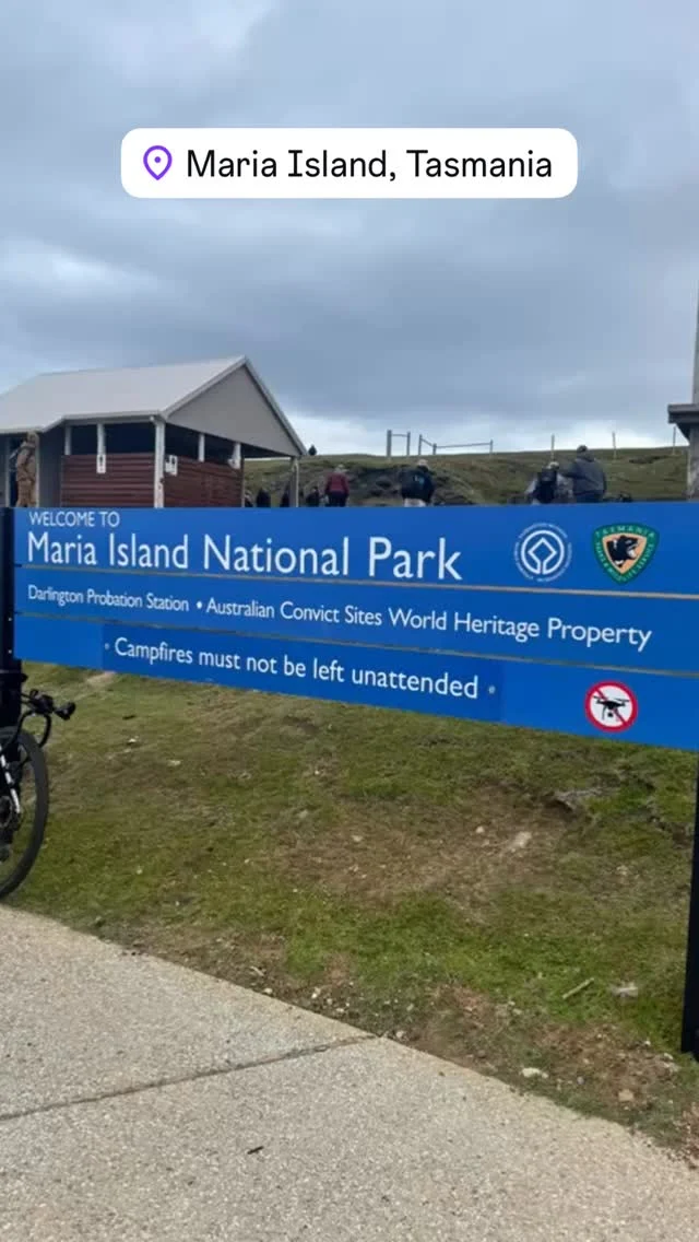 One of my favourite hikes ever. Maria Island - you are stunning!